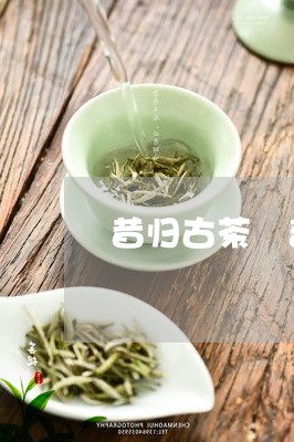 昔归古茶 普洱茶/2023041215371